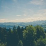 Read more about the article Quis ligula lacinia aliquet mauris ipsum